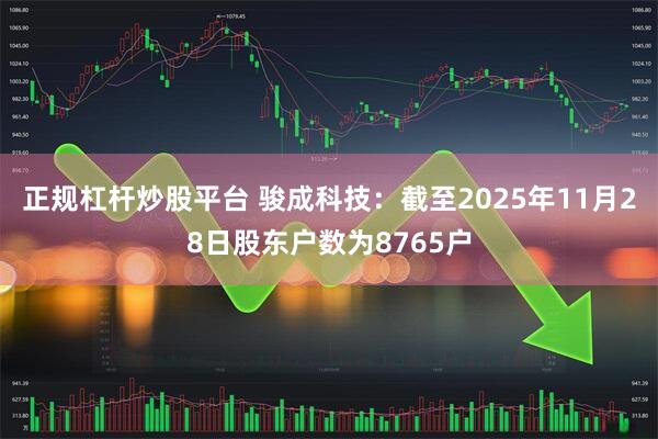 正规杠杆炒股平台 骏成科技：截至2025年11月28日股东户数为8765户