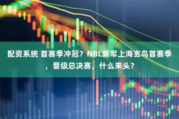 配资系统 首赛季冲冠？NBL新军上海玄鸟首赛季，晋级总决赛，什么来头？